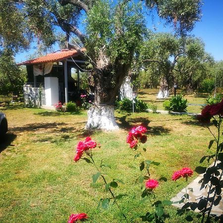 Skala Rachoni  Cristi Apartments מראה חיצוני תמונה