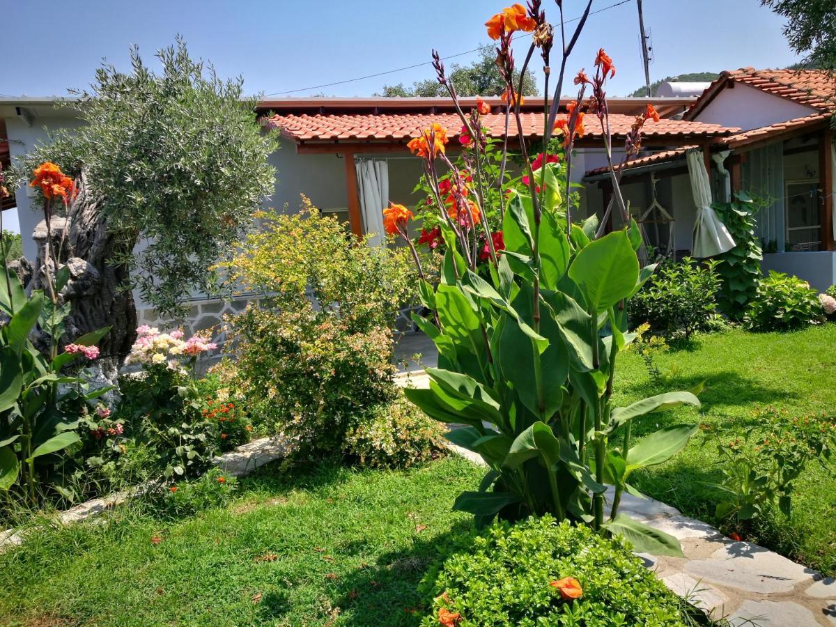 Skala Rachoni  Cristi Apartments מראה חיצוני תמונה