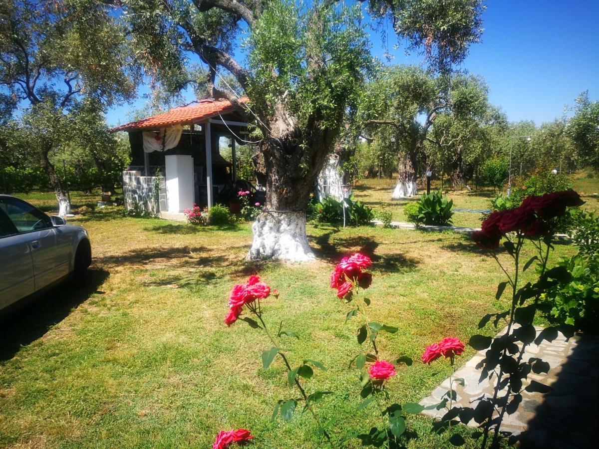 Skala Rachoni  Cristi Apartments מראה חיצוני תמונה